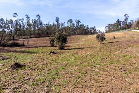 Helårsgrund i Ponte de Lima, Viana do Castelo, Ponte de Lima - € 263.000 | Ref: SF-SAFTI:007285 - foto 4