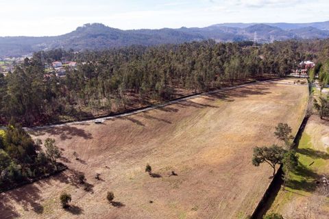 Helårsgrund i Ponte de Lima, Viana do Castelo, Ponte de Lima - € 263.000 | Ref: SF-SAFTI:007285 - foto 5