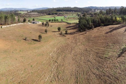 Helårsgrund i Ponte de Lima, Viana do Castelo, Ponte de Lima - € 263.000 | Ref: SF-SAFTI:007285 - foto 6