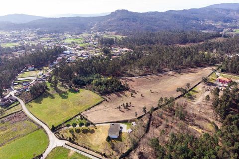 Helårsgrund i Ponte de Lima, Viana do Castelo, Ponte de Lima - € 263.000 | Ref: SF-SAFTI:007285 - foto 7