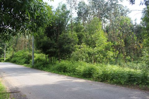 Helårsgrund i Moncao, Viana do Castelo, Moncao - € 45.000 | Ref: SF-SAFTI:003338 - foto 1