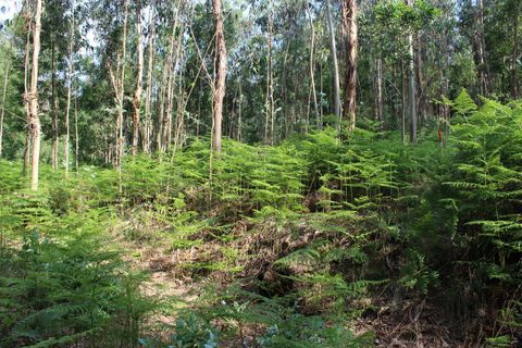 Helårsgrund i Moncao, Viana do Castelo, Moncao - € 45.000 | Ref: SF-SAFTI:003338 - foto 4