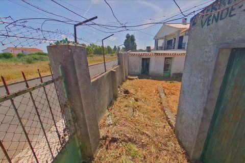 Helårsgrund i Alcabideche, Lisbon, Alcabideche - € 395.000 | Ref: SF-SAFTI:003371 - foto 4