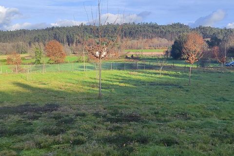 Helårsgrund i Ponte de Lima, Viana do Castelo, Ponte de Lima - € 159.500 | Ref: SF-SAFTI:007284 - foto 3