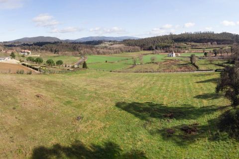 Helårsgrund i Ponte de Lima, Viana do Castelo, Ponte de Lima - € 159.500 | Ref: SF-SAFTI:007284 - foto 5