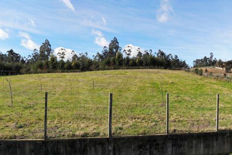 Helårsgrund i Ponte de Lima, Viana do Castelo, Ponte de Lima - € 159.500 | Ref: SF-SAFTI:007284 - foto 6