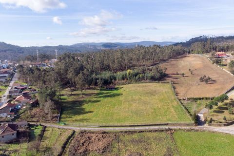 Helårsgrund i Ponte de Lima, Viana do Castelo, Ponte de Lima - € 159.500 | Ref: SF-SAFTI:007284 - foto 8