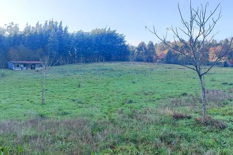 Helårsgrund i Ponte de Lima, Viana do Castelo, Ponte de Lima - € 159.500 | Ref: SF-SAFTI:007284 - foto 9