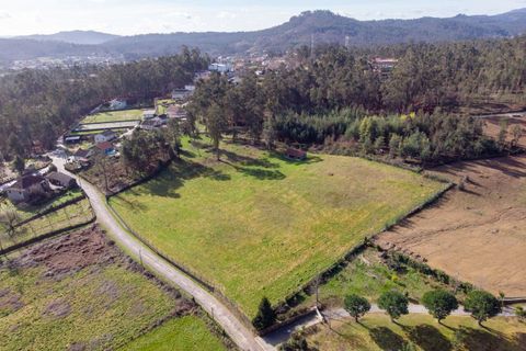 Helårsgrund i Ponte de Lima, Viana do Castelo, Ponte de Lima - € 159.500 | Ref: SF-SAFTI:007284 - foto 11