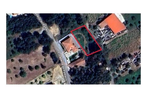 Terra a Alburitel, Santarem, Alburitel - € 38.000 | Ref: CV11010-125 - foto 4