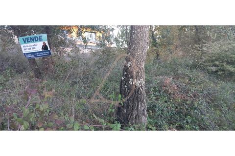 Terra a Alburitel, Santarem, Alburitel - € 38.000 | Ref: CV11010-125 - foto 2