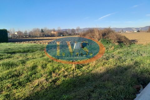 Villa a Montegaldella, Vicenza, Montegaldella - € 500.000 | Ref: MM536 - foto 32