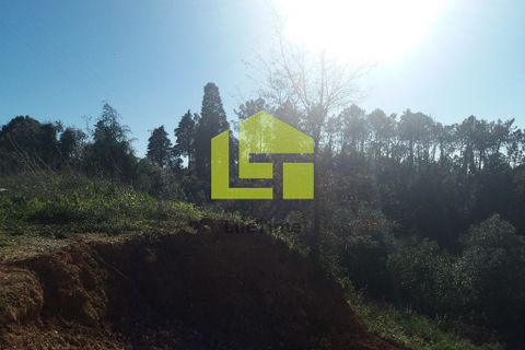 Helårsgrund i Coimbra, Coimbra, Coimbra - € 105.000 | Ref: LT0140 - foto 4