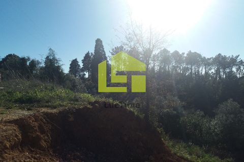 Helårsgrund i Coimbra, Coimbra, Coimbra - € 105.000 | Ref: LT0140 - foto 5