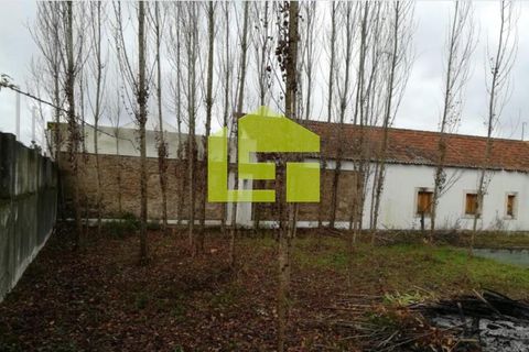 Byhus i Constancia, Santarem, Constancia - € 514.000 | Ref: LT1184 - foto 11