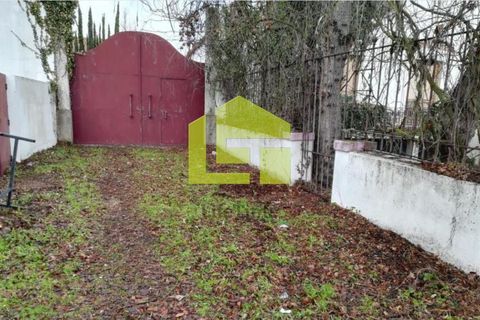 Byhus i Constancia, Santarem, Constancia - € 514.000 | Ref: LT1184 - foto 12