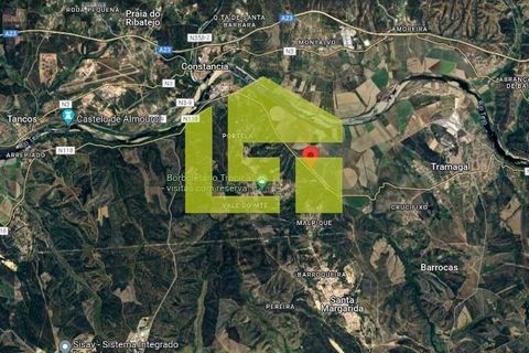 Byhus i Constancia, Santarem, Constancia - € 514.000 | Ref: LT1184 - foto 15