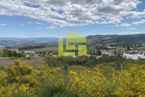 Działka: Sabrosa, Vila Real, Sabrosa – 680 000 € | Ref: LT0801 – zdjęcie 1