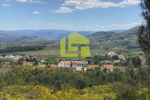 Działka: Sabrosa, Vila Real, Sabrosa – 680 000 € | Ref: LT0801 – zdjęcie 2