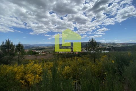 Działka: Sabrosa, Vila Real, Sabrosa – 680 000 € | Ref: LT0801 – zdjęcie 9