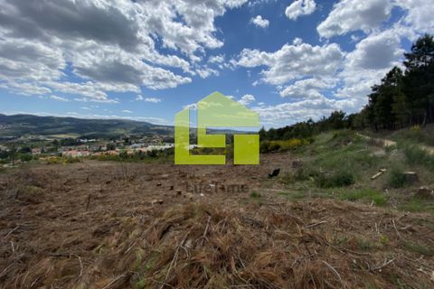 Działka: Sabrosa, Vila Real, Sabrosa – 680 000 € | Ref: LT0801 – zdjęcie 12
