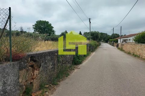 Helårsgrund i Coimbra, Coimbra, Coimbra - € 80.000 | Ref: LT1152 - foto 3