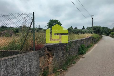 Helårsgrund i Coimbra, Coimbra, Coimbra - € 80.000 | Ref: LT1152 - foto 4