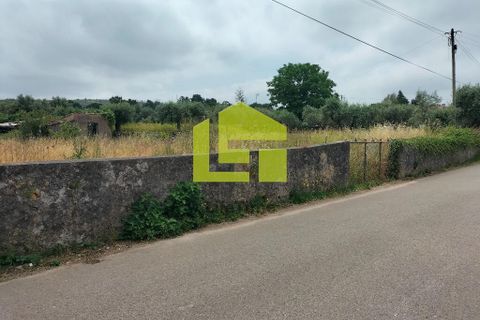 Helårsgrund i Coimbra, Coimbra, Coimbra - € 80.000 | Ref: LT1152 - foto 5