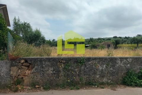 Helårsgrund i Coimbra, Coimbra, Coimbra - € 80.000 | Ref: LT1152 - foto 6