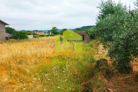 Helårsgrund i Coimbra, Coimbra, Coimbra - € 80.000 | Ref: LT1152 - foto 12