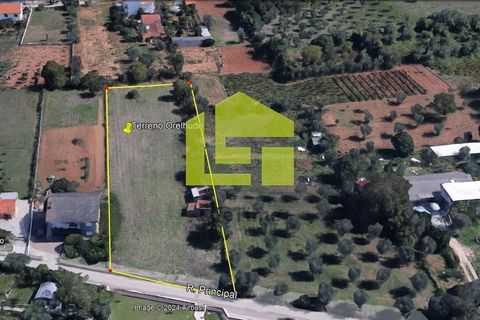 Helårsgrund i Coimbra, Coimbra, Coimbra - € 80.000 | Ref: LT1152 - foto 13