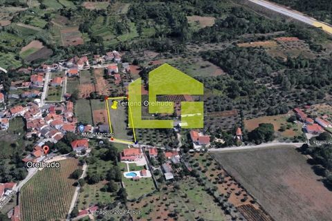 Helårsgrund i Coimbra, Coimbra, Coimbra - € 80.000 | Ref: LT1152 - foto 14