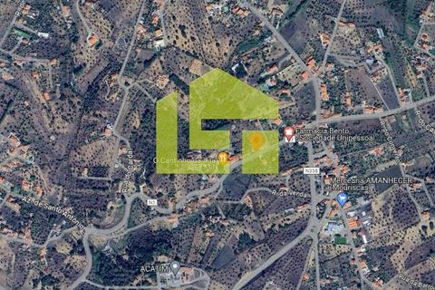 Byhus i Abrantes, Santarem, Abrantes - € 228.000 | Ref: LT1186 - foto 12