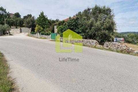 Terra a Condeixa-a-Nova, Coimbra, Condeixa-a-Nova - € 42.000 | Ref: LT1045 - foto 4