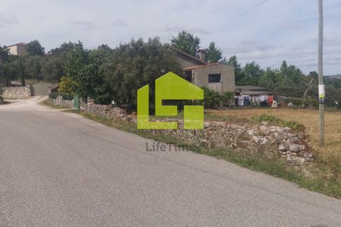 Terra a Condeixa-a-Nova, Coimbra, Condeixa-a-Nova - € 42.000 | Ref: LT1045 - foto 5