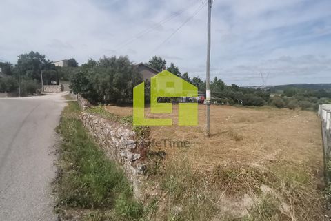 Terra a Condeixa-a-Nova, Coimbra, Condeixa-a-Nova - € 42.000 | Ref: LT1045 - foto 7
