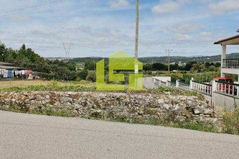 Terra a Condeixa-a-Nova, Coimbra, Condeixa-a-Nova - € 42.000 | Ref: LT1045 - foto 9