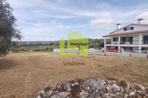 Terra a Condeixa-a-Nova, Coimbra, Condeixa-a-Nova - € 42.000 | Ref: LT1045 - foto 11