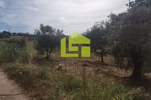 Terra a Condeixa-a-Nova, Coimbra, Condeixa-a-Nova - € 42.000 | Ref: LT1045 - foto 18