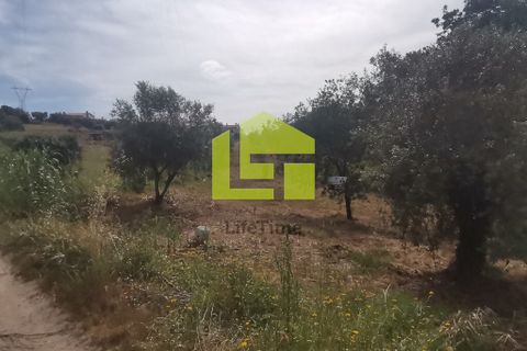 Terra a Condeixa-a-Nova, Coimbra, Condeixa-a-Nova - € 42.000 | Ref: LT1045 - foto 19