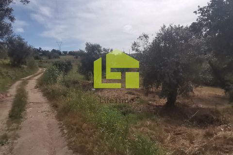 Terra a Condeixa-a-Nova, Coimbra, Condeixa-a-Nova - € 42.000 | Ref: LT1045 - foto 20