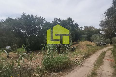 Terra a Condeixa-a-Nova, Coimbra, Condeixa-a-Nova - € 42.000 | Ref: LT1045 - foto 21