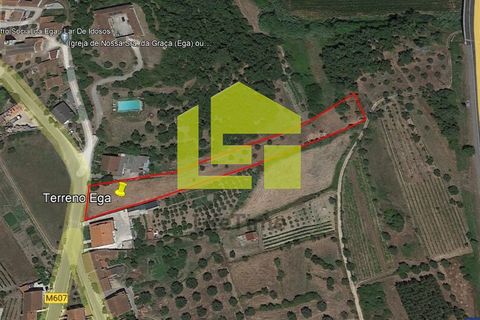 Terra a Condeixa-a-Nova, Coimbra, Condeixa-a-Nova - € 42.000 | Ref: LT1045 - foto 22