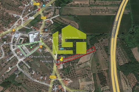 Terra a Condeixa-a-Nova, Coimbra, Condeixa-a-Nova - € 42.000 | Ref: LT1045 - foto 23