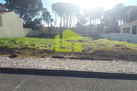 Helårsgrund i Condeixa-a-Nova, Coimbra, Condeixa-a-Nova - € 75.000 | Ref: LT0017 - foto 2