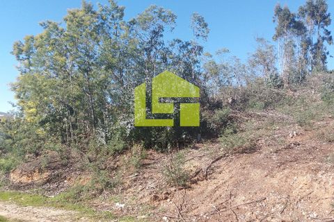 Helårsgrund i Coimbra, Coimbra, Coimbra - € 120.000 | Ref: LT0138 - foto 3
