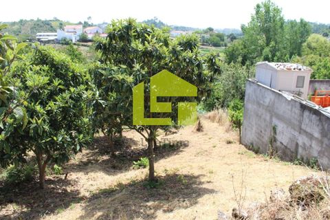Helårsgrund i Coimbra, Coimbra, Coimbra - € 43.000 | Ref: LT0094 - foto 6