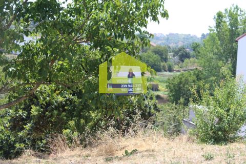Helårsgrund i Coimbra, Coimbra, Coimbra - € 43.000 | Ref: LT0094 - foto 11