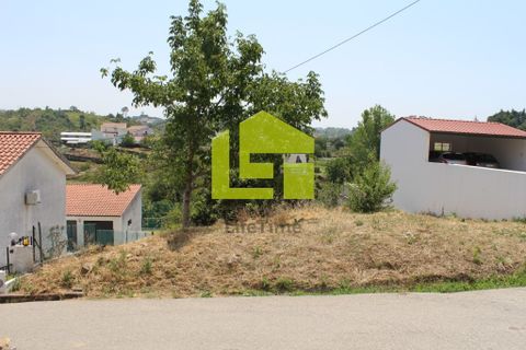Helårsgrund i Coimbra, Coimbra, Coimbra - € 43.000 | Ref: LT0094 - foto 12
