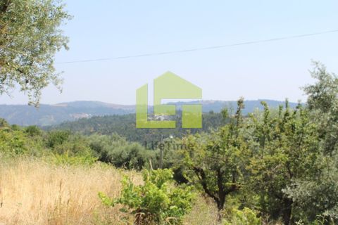 Helårsgrund i Coimbra, Coimbra, Coimbra - € 43.000 | Ref: LT0094 - foto 14